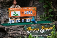 bird show2.jpg - SAFARI WORLD WITH TRANSFER | https://sabaigobangkok.com